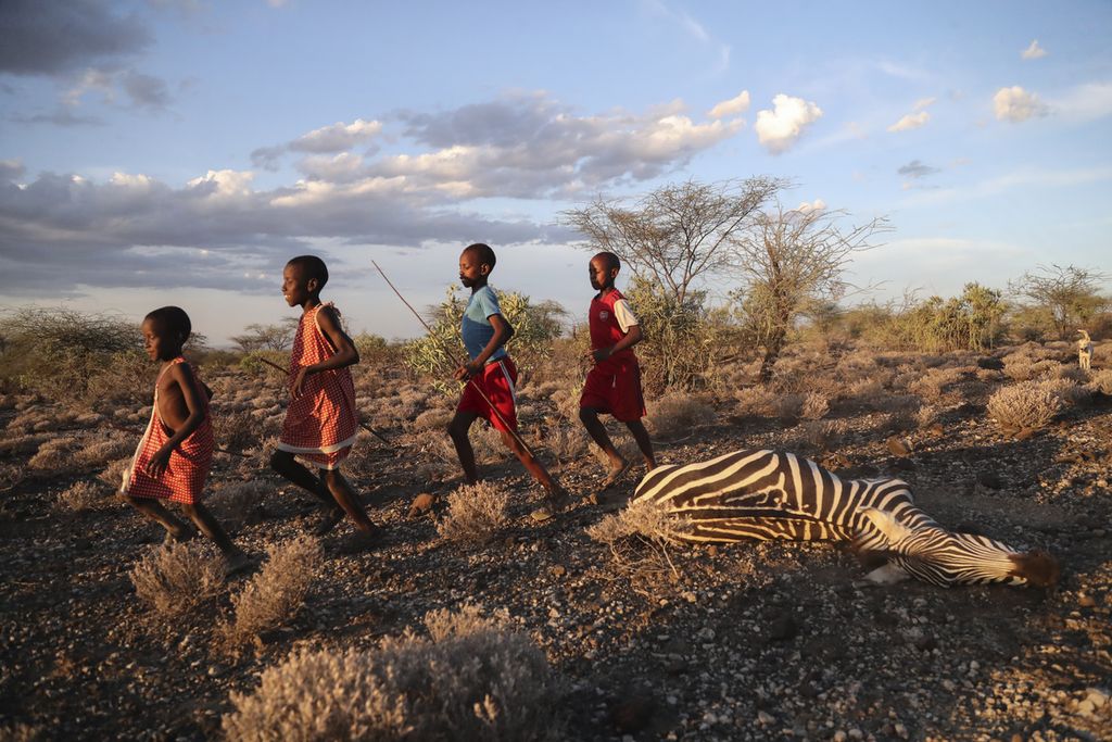 Anak-anak Maasai berlari melewati seekor zebra, yang menurut warga setempat, mati karena kekeringan, saat mereka menggembalakan ternak mereka di Desa Ilangeruani, dekat Danau Magadi, di Kenya, pada Rabu, 9 November 2022. Sebagian wilayah Kenya telah mengalami empat musim berturut-turut dalam dua tahun terakhir,