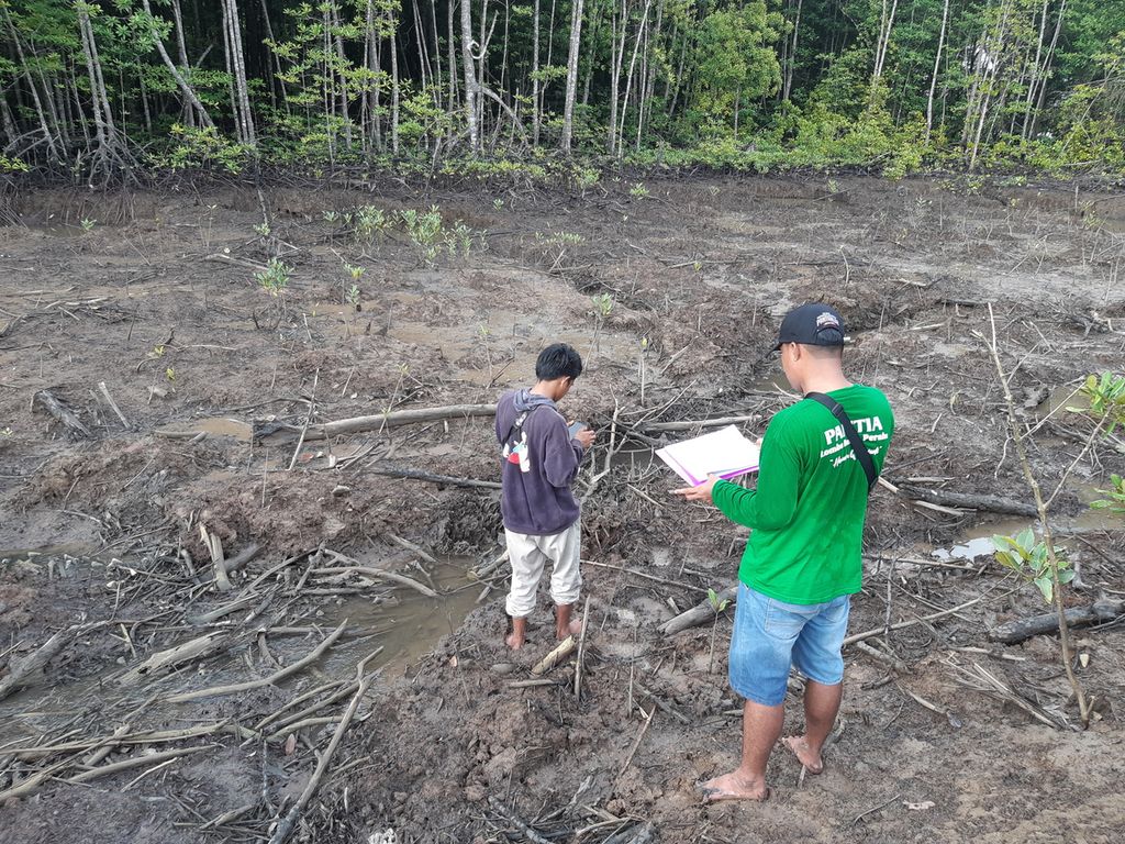 Kelompok Tani Hutan Muara Adang Indah memantau perkembangan mangrove yang mereka tanam di sekitar Teluk Adang, Desa Muara Adang, Kecamatan Long Ikis, Kabupaten Paser, Kalimantan Timur, Rabu (15/2/2023).