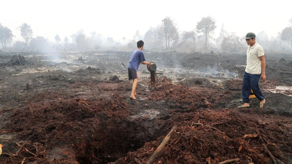 Warga secara manual membasahi lahan gambut yang masih mengeluarkan asap di Desa Merbau, Kecamatan Bunut, Kabupaten Pelalawan, Riau, Selasa (17/9/2019). 