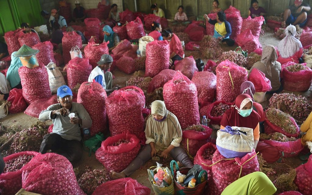 Pekerja memisahkan bawang merah dari daunnya di gudang penyimpanan di Kecamatan Sukomoro, Kabupaten Nganjuk, Jawa Timur, Sabtu (5/6/2021). Sebagai sentra produksi bawang merah Kabupaten Nganjuk mempunyai luas lahan sebanyak 13.000 hektar. Cuaca membuat panen menurun dari 12 ton bawang merah menjadi 8 ton perhektar. Harga bawang merah di tingkat petani berkisar dari Rp8000 hingga Rp15.000 tergantung kualitas serta banyaknya pasokan bawang merah di pasaran. Untuk panen raya diperkirakan akan jatuh pada Juli dan Agustus.