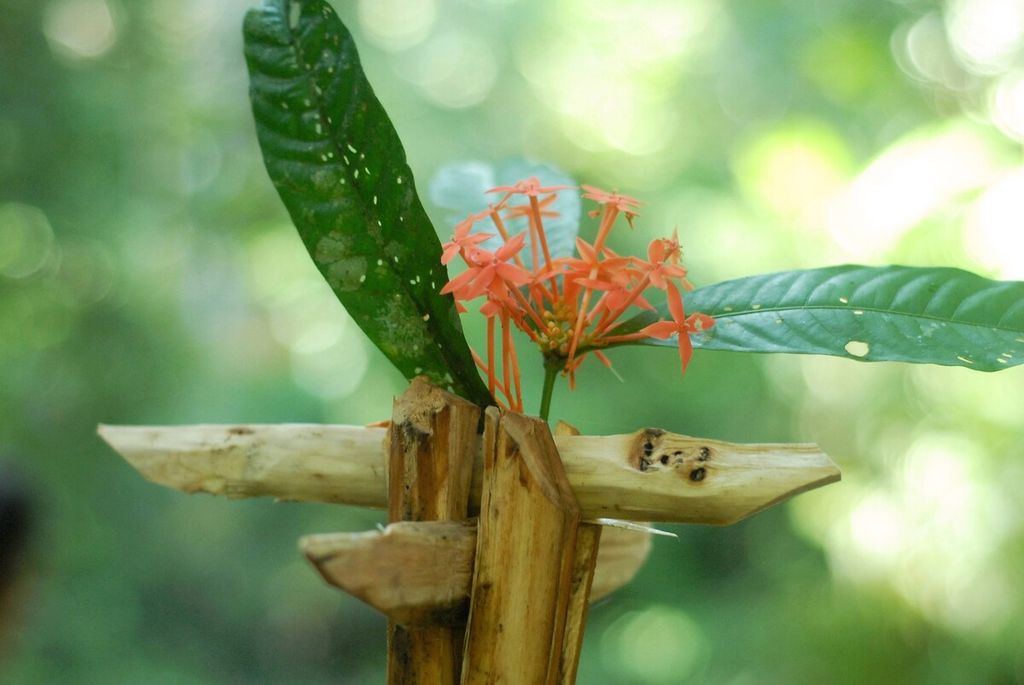 Bunga diletakkan pada salah satu tiang sebagai alat ritual memandikan bayi Orang Rimba di Taman Nasional Bukit Duabelas, Sarolangun, Jambi, Sabtu (2/7/2022).. Pelestarian mendesak diperkuat untuk menjaga biodiversitas dalam hutan itu.