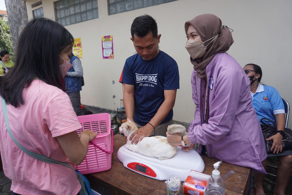 Suasana pemeriksaan kesehatan hewan dalam rangkaian acara pemberkatan hewan peliharaan di Gereja Katolik Santo Yosep Purwokerto, Kabupaten Banyumas, Jawa Tengah, Minggu (20/11/2022).