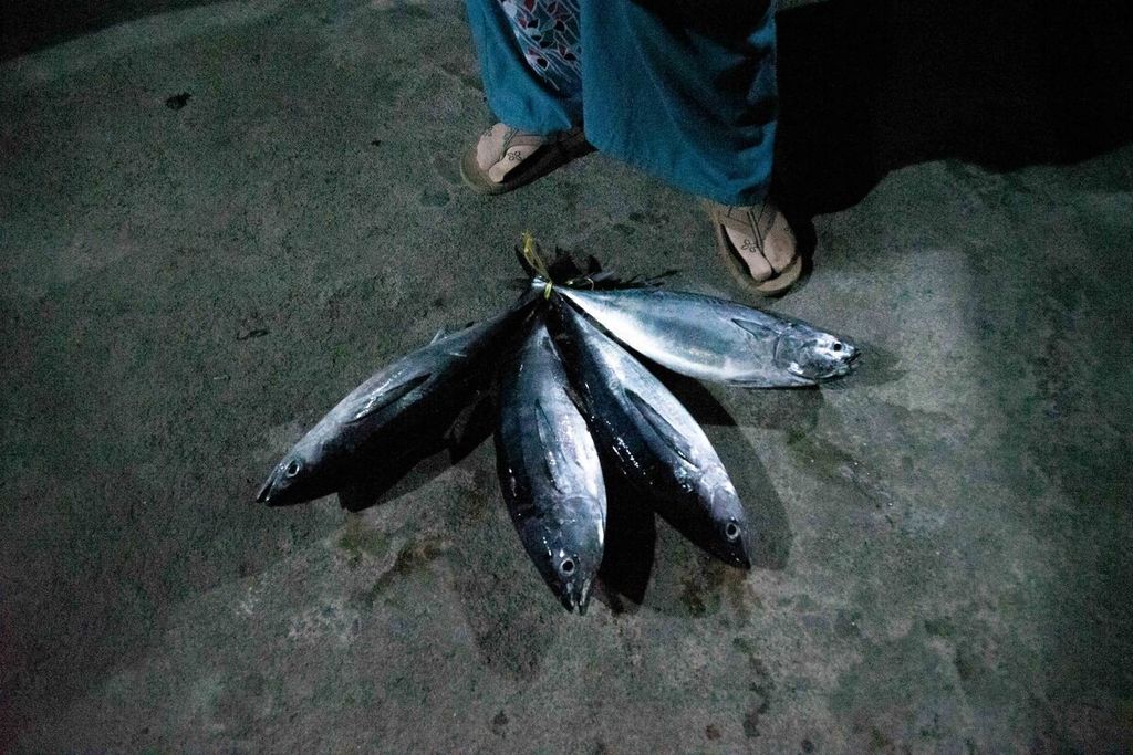 Seorang warga membeli ikan dari nelayan yang baru pulang melaut di Pelabuhan Teluk Baruk, Desa Sepempang, Kecamatan Bunguran Timur, Kabupaten Natuna, Kepulauan Riau, Sabtu (26/3/2022).