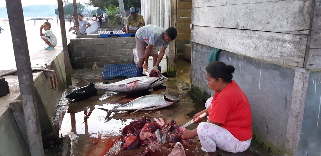 Nelayan membersihkan isi perut dan kepala ikan tuna segar di tempat penimbangan di Desa Sangowo, Kecamatan Morotai Timur, Kabupaten Pulau Morotai, Maluku Utara, Rabu (27/7/2022). 