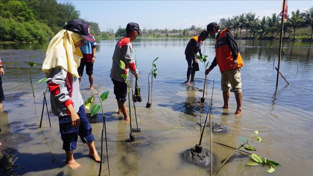 Para pelajar dan sukarelawan dari sejumlah komunitas menanam mangrove di Pantai Laguna, Lembupurwo, Kecamatan Mirit, Kebumen, Jawa Tengah, Selasa (30/7/2019). Mangrove dinilai efektif mengurangi terjangan gelombang tsunami hingga 50 persen.