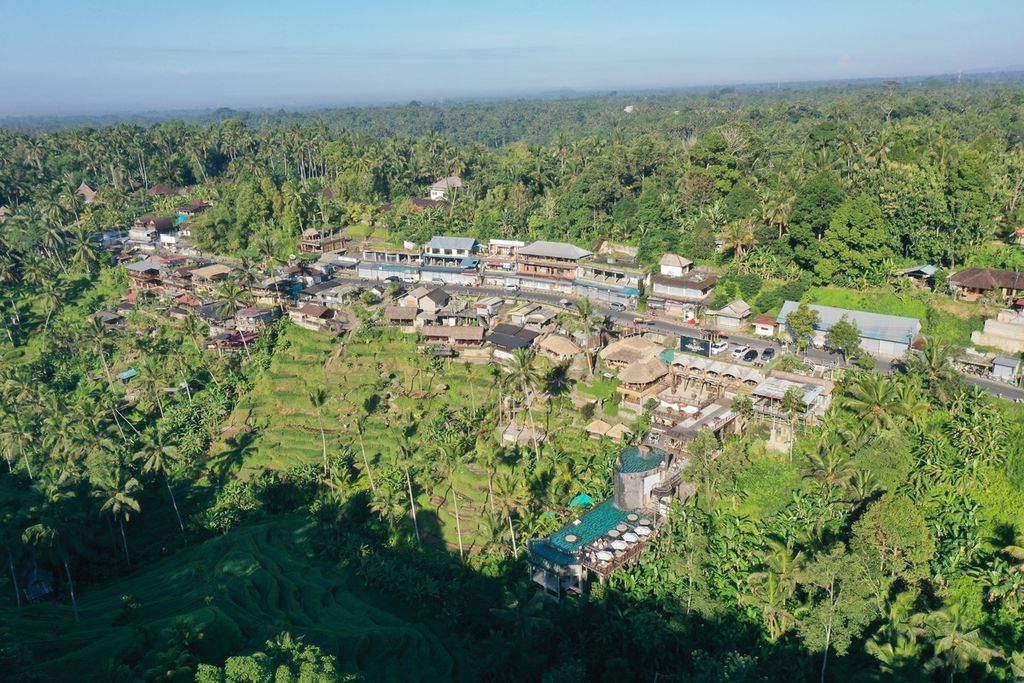 Wisata Terasering Padi Tegallalang di Ubud, Bali, Minggu (23/04/2023)