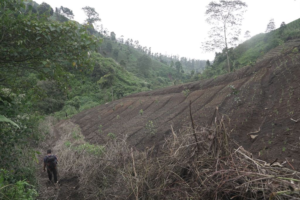 Lokasi perambahan di Gunung Rakutak Desa Sukarame, Kecamatan Pacet, Kabupaten Bandung, Jawa Barat seperti terlihat pada Minggu (29/05/2022).