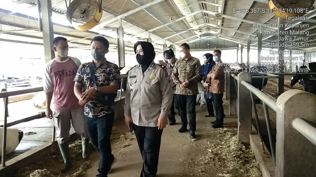 Forum Komunikasi Pimpinan Daerah Kabupaten Malang, Jawa Timur, mengecek kondisi salah satu peternakan di Kecamatan Kepanjen guna memastikan kesehatan ternak setempat, Sabtu (14/5/2022).