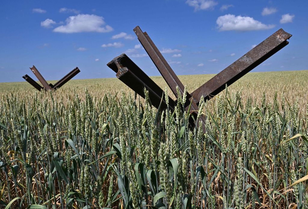 Penghalang tank diletakkan di ladang gandum di sebuah pertanian di Mykolaiv, Ukraina selatan, 11 Juni 2022, di tengah invasi Rusia ke Ukraina. 