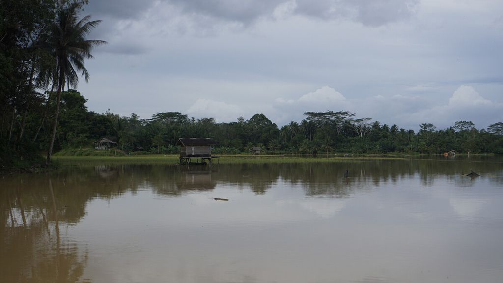 Sawah warga tergenang banjir di Kelurahan Sepaku, Kecamatan Sepaku, Penajam Paser Utara, Kalimantan Timur, Jumat (17/3/2023). Menurut penuturan warga, banjir di dekat proyek IKN ini merupakan yang terparah setelah tahun 2019.