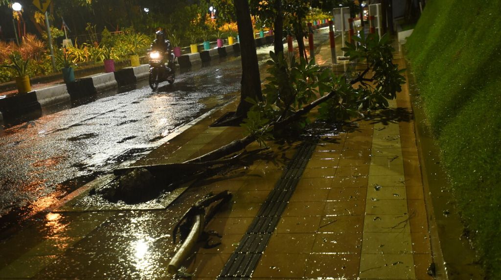 Pohon tumbang di Jalan Keputran, Surabaya, seusai hujan disertai angin kencang,  Senin (6/1/2020). Dua hari berturut-turut Surabaya diterpa hujan disertai angin kencang pada sore hari. Dalam kejadian tersebut, dua warga tewas tertimpa pohon. 