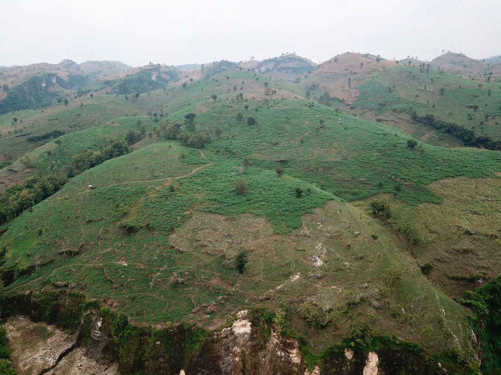 Lahan hutan jati milik Perhutani yang berubah menjadi lahan pertanian jagung menjadi persoalan lingkungan selain penambangan di Kecamatan Sukolilo, Kabupaten Pati, Jawa Tengah, Kamis (16/3/2023). 