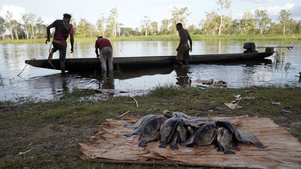 Warga mengemasi barang-barang setelah menjaring ikan di Sungai Kumbe di Kampung Baad, Distrik Animha, Kabupaten Merauke, Papua, Kamis (10/11/2022). Satu tusuk ikan mujair yang terdiri dari tiga hingga empat ekor dijual ke pengepul seharga Rp 15.000. 