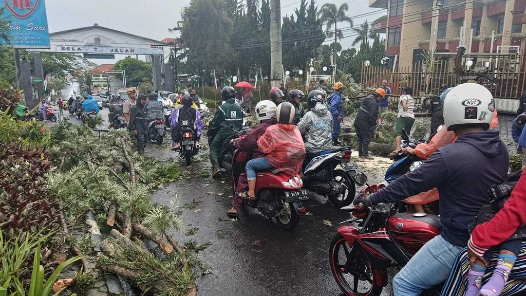 Petugas tengah memotong datang pohon tumbang akibat hujan deras disertai angin di Kota Batu, Jawa Timur, Senin (27/1/2023) sore.