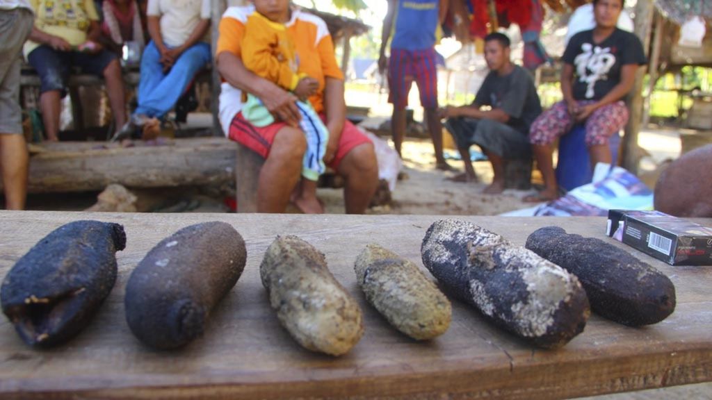 Setelah diambil dari dasar laut, teripang diolah dengan cara dijemur dan siap dijual seperti yang terlihat di Pulau Tamdalan Nawa, Kabupaten Maluku Tenggara Barat, Maluku pada Jumat (25/8/2017). 