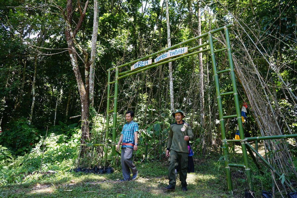 Kawasan Hutan Rarung, Desa Pemepek, Lombok Tengah, Nusa Tenggara Barat, menjadi sentra budidaya tanaman bambu tabah. Penanaman bambu tabah itu merupakan kerja sama warga sekitar hutan di Dinas Lingkungan Hidup dan Kehutanan NTB. Foto diambil 7 Februari 2019.
