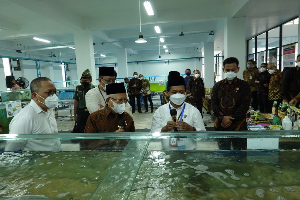 Wakil Presiden Ma’ruf Amin meninjau laboratorium biota laut ketika meresmikan Kawasan Sains Kurnaen Sumadiharga Badan Riset dan Inovasi Nasional di Lombok, Nusa Tenggara Barat, yang dikembangkan menjadi fasilitas riset dan inovasi produk halal berbasis maritim nasional, Kamis (16/3/2023).