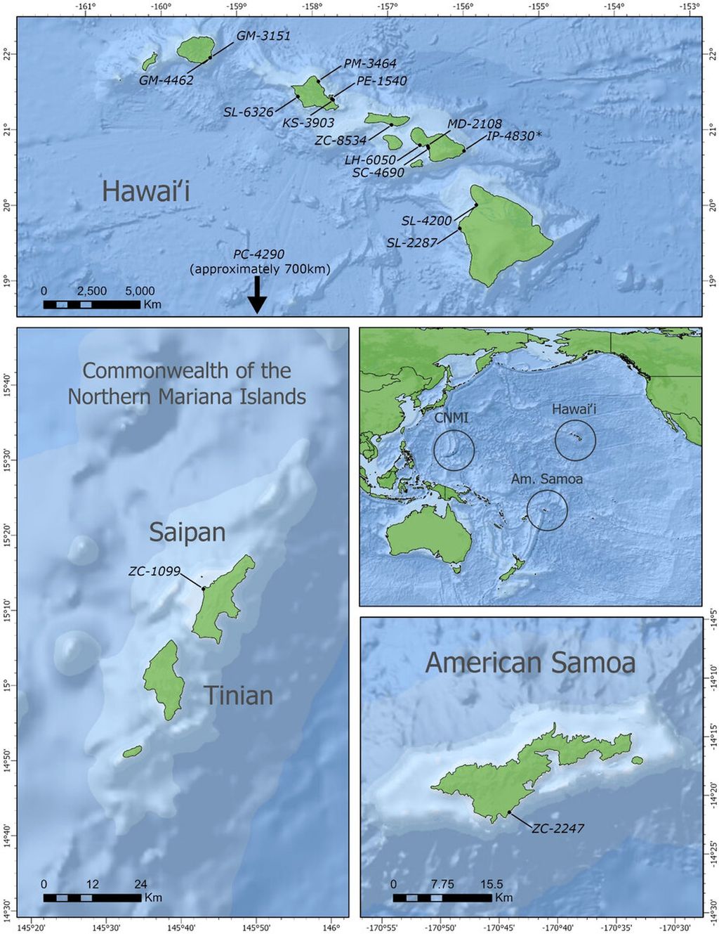 Lokasi terdamparnya paus berparuh yang positif <i>circovirus</i>. Kepulauan Hawaii (n=13, *inisial paus berparuh Longman); Saipan (n=1); Samoa Amerika (n=1). Lokasi ikan paus pembunuh palsu yang tertangkap di laut lepas tidak tergambar. Sumber peta dasar: ESRI, GEBCO, NOAA, National Geographic, DeLorme, NaturalVue.
