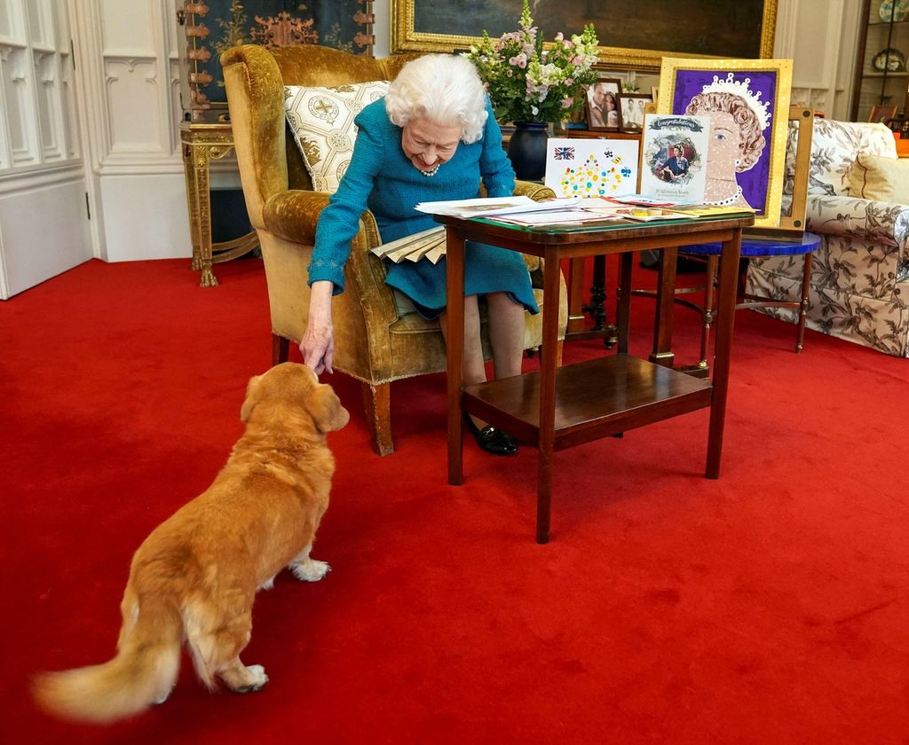 A picture released in London on February 4, 2022, and taken last month, shows Britain's Queen Elizabeth II stroking Candy, her a Dorgi dog, as she looks at a display of memorabilia from her Golden and Platinum Jubilees, in the Oak Room at Windsor Castle, west of London. - Queen Elizabeth II on February 6, 2022, becomes the first British monarch to reign for 70 years, heralding the start of her Platinum Jubilee year despite her retreat from public view. But the landmark date this weekend will see little fanfare, as the 95-year-old monarch traditionally spends the anniversary of the death of her father in private.