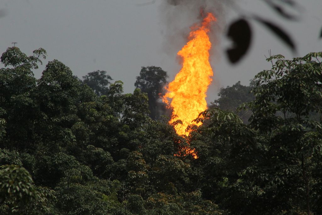 Kobaran api masih membara di kawasan minyak ilegal di Desa Keban I, Kecamatan Sanga Desa, Kabupaten Musi Banyuasin, Sumatera Selatan, Kamis (14/10/2021). Ketinggian api mencapai 30 meter. Api sulit dipadamkan karena adanya semburan gas bercampur lumpur di dalam sumur. 