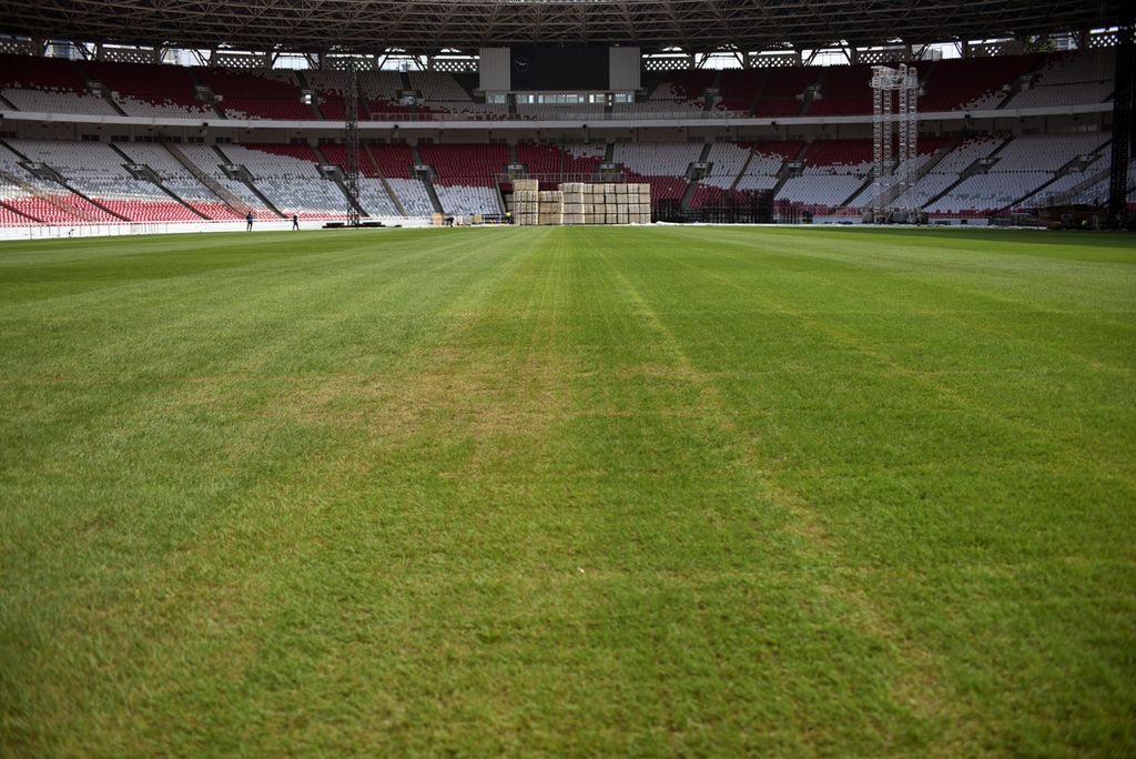 Rumput Stadion Utama Gelora Bung Karno di Jakarta, Senin (13/3/2023), menguning sesudah dipakai untuk konser musik akhir pekan lalu. 