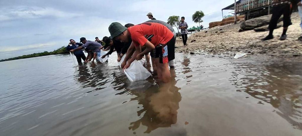 Nelayan dan tim pengabdian Universitas Samuder Langsa, Aceh, melepaskan benih rajungan ke laut, Senin (13/6/2022). Penangkaran untuk menjaga populasi di alam.