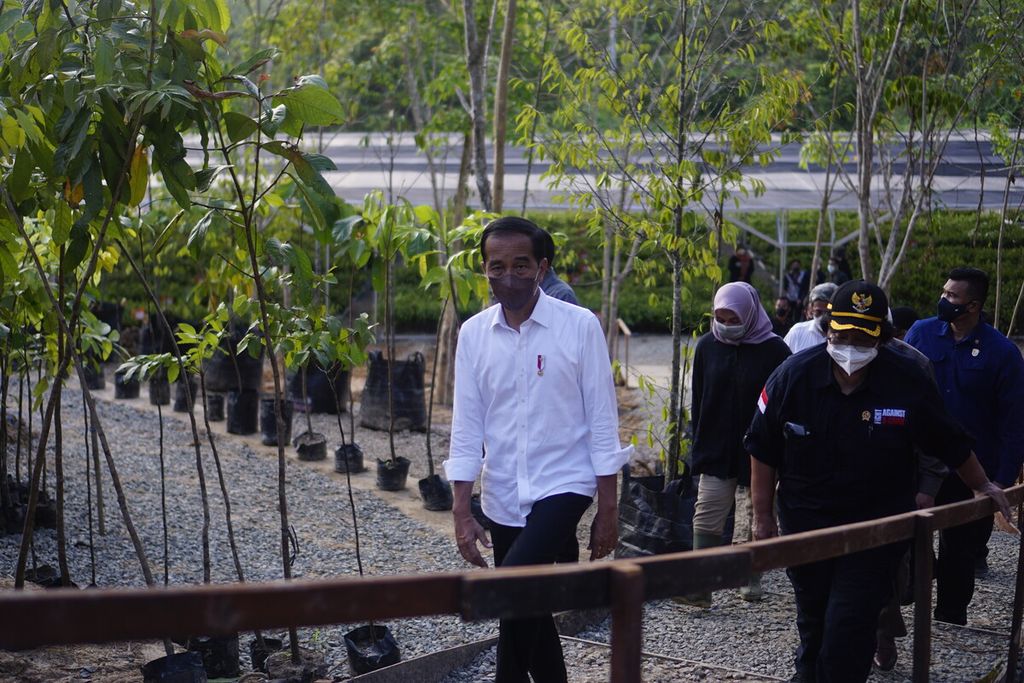  President Joko Widodo inspects a mentawir nursery in the Bukit Bengkirai area, Mentawir Village, Sepaku District, North Penajam Paser Regency, Monday (14/3/2022).