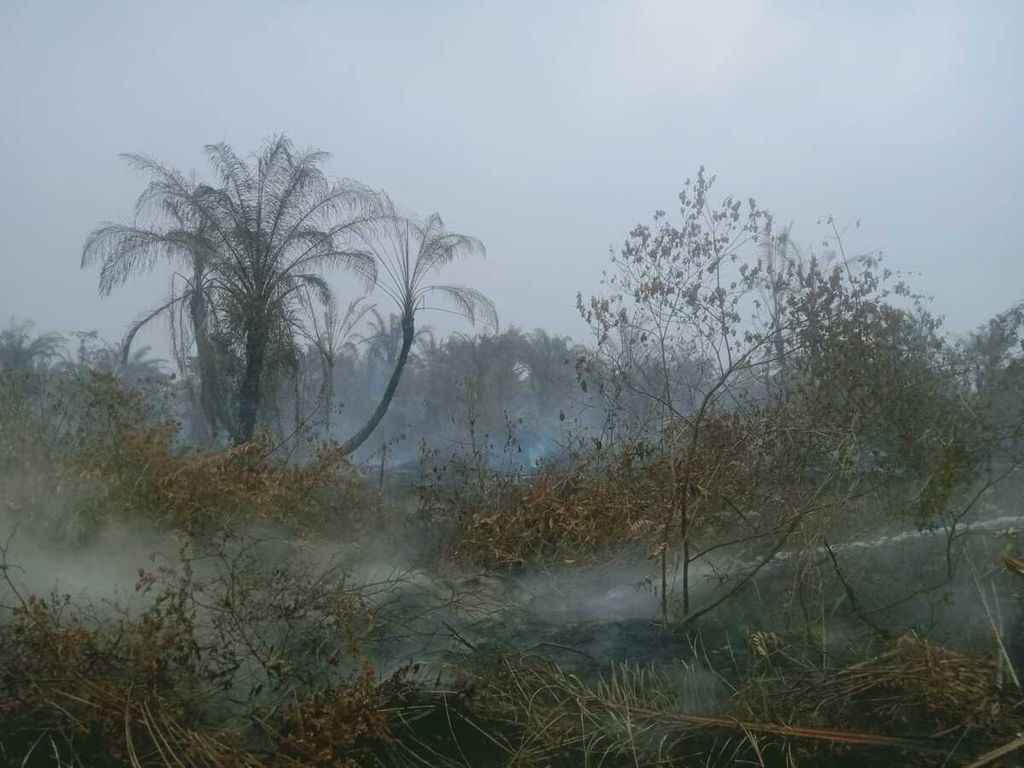 Petugas pemadam kebakaran (tak terlihat) menyirami titik asap di lahan gambut yang terbakar di Kecamatan Darul Makmur, Kabupaten Nagan Raya, Provinsi Aceh, Rabu (1/6/2022). 