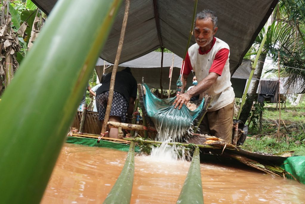 Mohonis Meluwu (65) menyaring sagu dari serpihan batang pohon sagu di Kampung Bowone, Tabukan Selatan Tengah, Kepulauan Sangihe, Sulawesi Utara, pada Sabtu (7/8/2021). Sagu masih menjadi salah satu pilihan utama sumber karbohidrat bagi warga Kepulauan Sangihe yang hampir tak memiliki sawah sama sekali.
