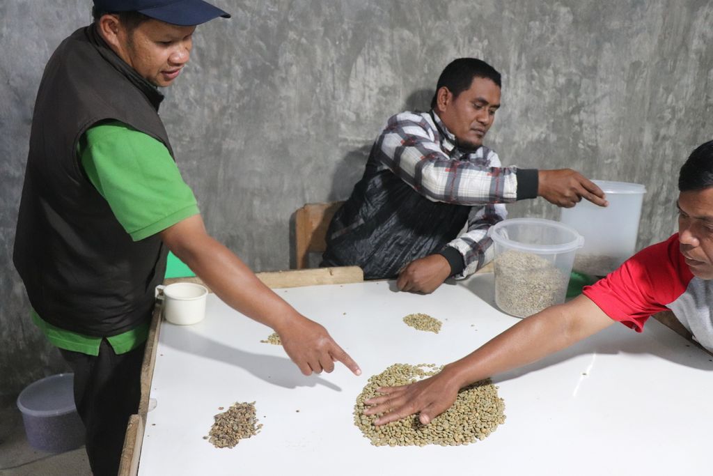 Anggota Koperasi Petani Ongu Nipomaya memperlihatkan beras kopi yang telah disortir di Desa Dombu, Sigi, Sulteng, Rabu (13/7/2022).