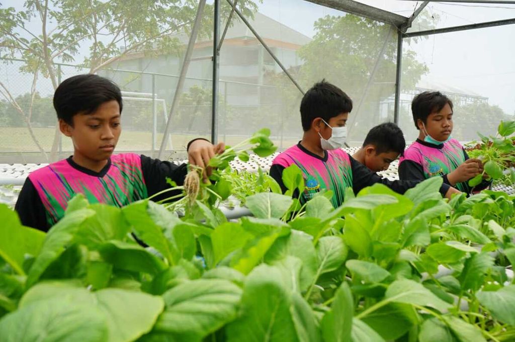 Para santri di Sekolah Progresif Bumi Shalawat Sidoarjo, Jawa Timur, Senin (13/6/2022), sedang merawat berbagai macam sayur-mayur yang dikembangkan dengan sistem hidroponik.