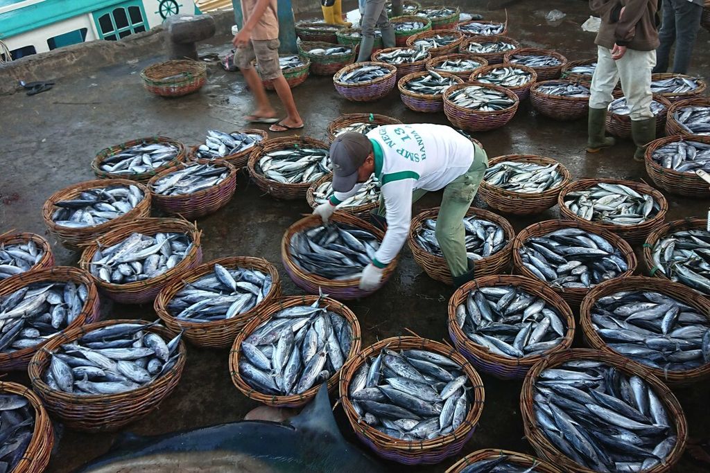 Para nelayan di Pelabuhan Perikanan Lampulo, Kota Banda Aceh, Provinsi Aceh, Minggu (17/4/2022), membongkar tangkapan berupa ikan kembung, dencis, tongkol, dan tuna. Potensi perikanan tangkap di Provinsi Aceh lebih dari 295 ton per tahun. Namun, yang bisa dimanfaatkan hanya 230.000 ton per tahun.