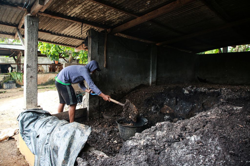 Katon mempersiapkan ampas dari pengolahan sawit untuk pakan di usaha penggemukan dan pembiakan sapi di Selagai Lingga, Kabupaten Lampung Tengah, Senin (26/12/2022). 