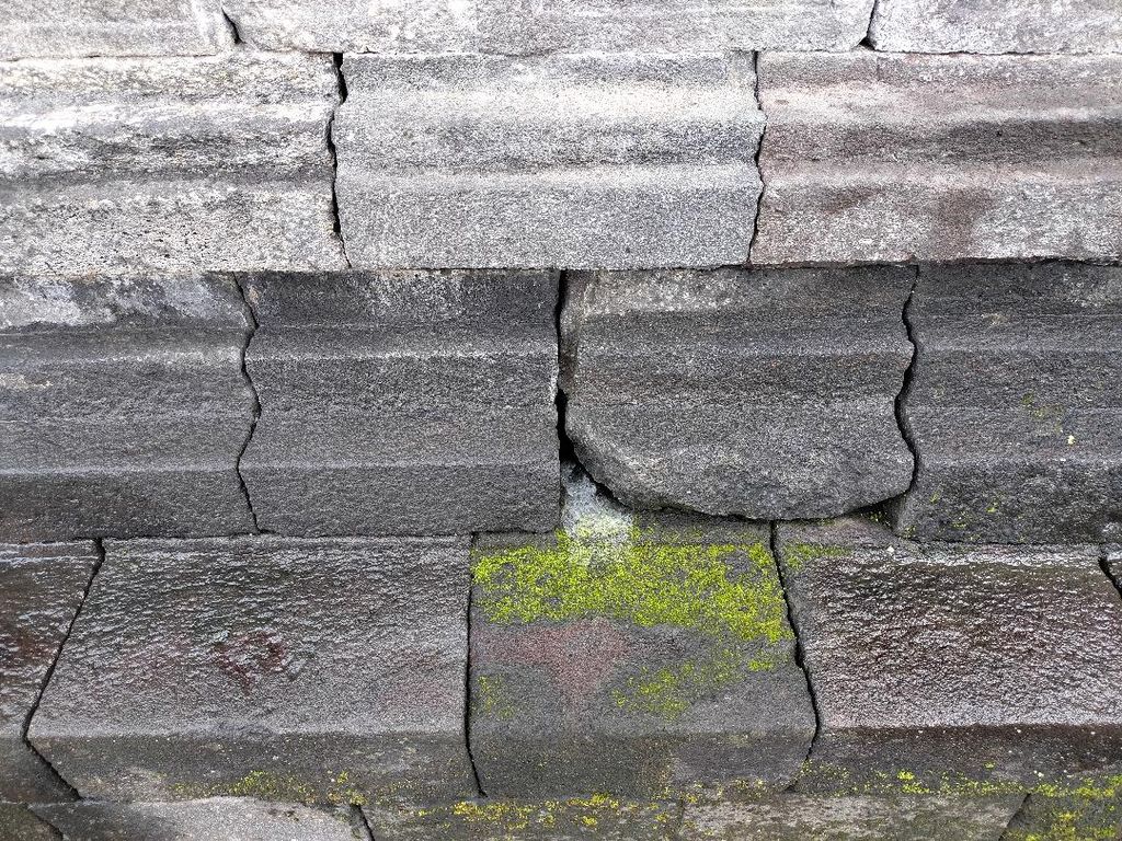 Lumut biasa muncul pada permukaan batuan candi yang lembap, basah karena hujan atau adanya rembesan air, seperti terlihat pada sebagian batu Candi Borobudur, Kabupaten Magelang, Jawa Tengah, Selasa (21/6/2022)