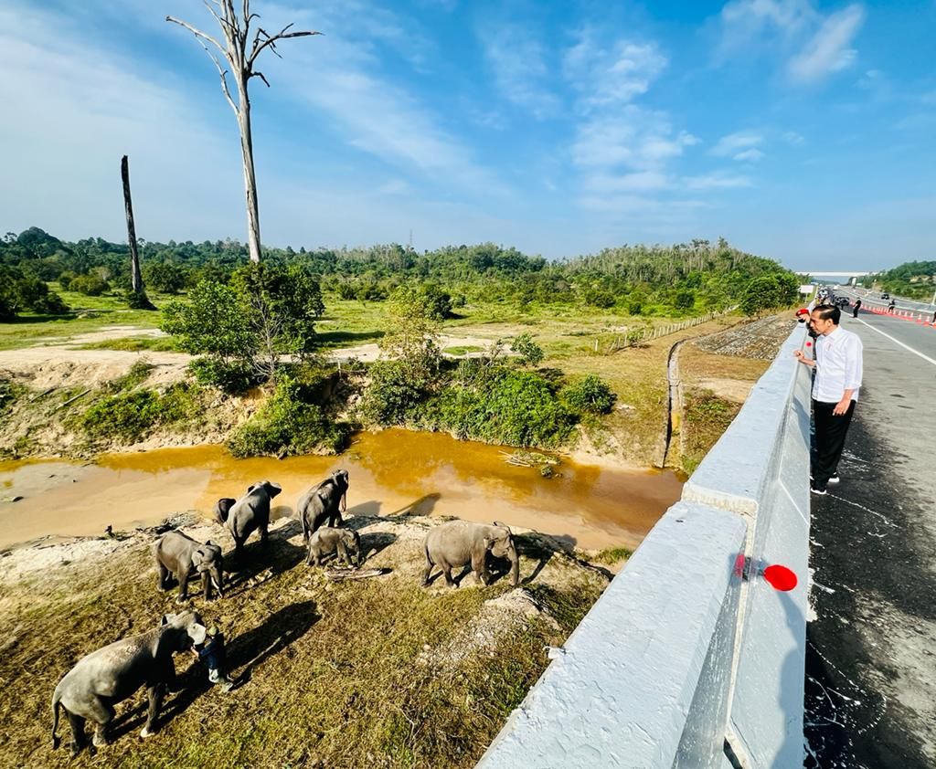 Presiden Joko Widodo berhenti di Kilometer 12 Jalan Tol Pekanbaru-Dumai, Kamis (5/1/2023). Di lokasi ini, terdapat terowongan pelintasan gajah.