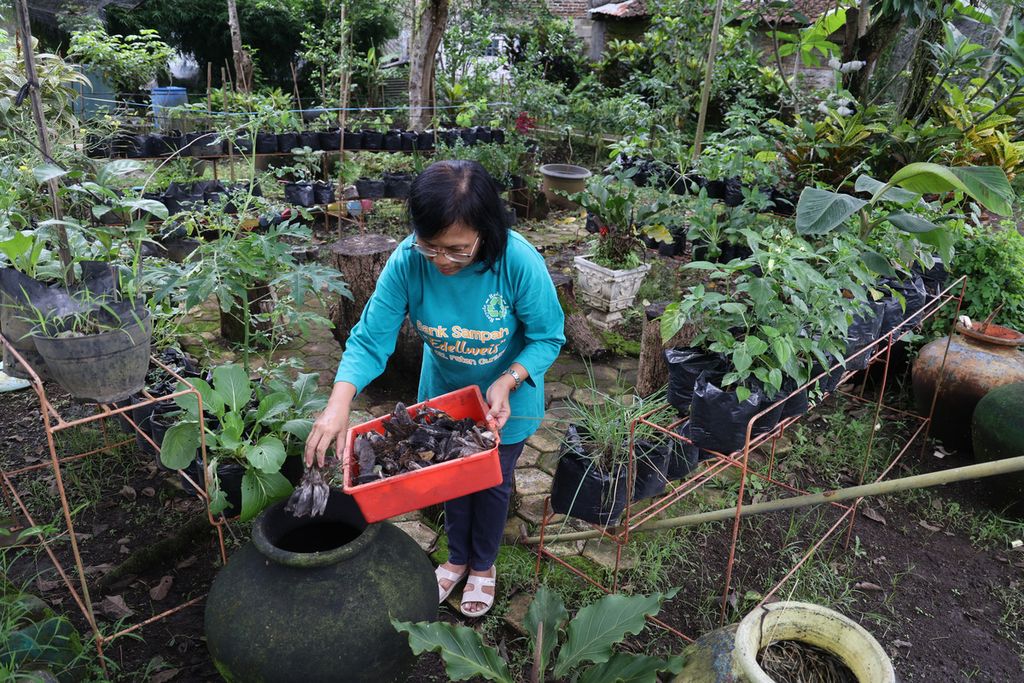 Pegiat Bank Sampah Edellweis mengolah sampah dari pisang untuk dijadikan kompos di kebun kampung organik Edellweis di Kelurahan Rejowinangun Selatan, Magelang Selatan, Kota Magelang, Jawa Tengah, Rabu (12/10/2022). 