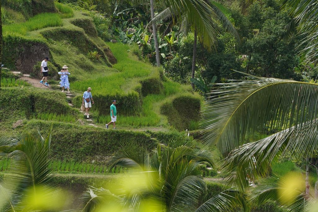 Wisatawan Asing berwisata di terasering padi Tegallalang, Ubud, Bali, Minggu (23/04/2023)