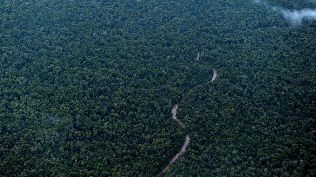 Hamparan hutan dengan beragam jenis rapatan pohon di pesisir selatan Kabupaten Asmat, Papua, Jumat (2/2/2018). Bagi masyaraat tradisional, seperti Asmat, hutan sebagai gantungan hidup dalam memenuhi kebutuhan mereka.
