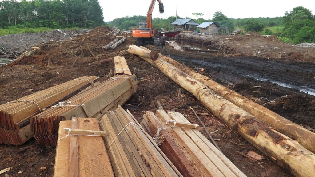 Alat berat melansir kayu-kayu hasil tebangan liar dari kawasan hutan di perbatasan Jambi dan Sumatera Selatan, Sabtu (16/3/2019). Hasil kayu dipasok ke dua wilayah itu bahkan hingga Lampung dan Banten.