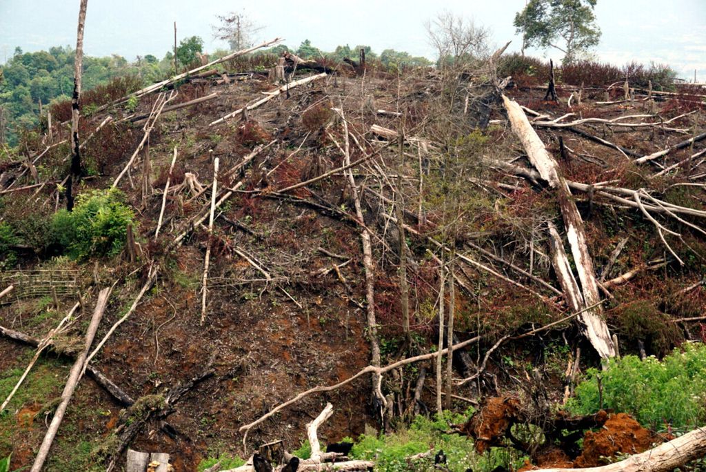 Kerusakan hutan di dalam Taman Nasional Gunung Leuser, Aceh Tenggara, Aceh telah menurunkan daya dukung lingkungan. Kehilangan tutupan hutan memicu bencana ekologi