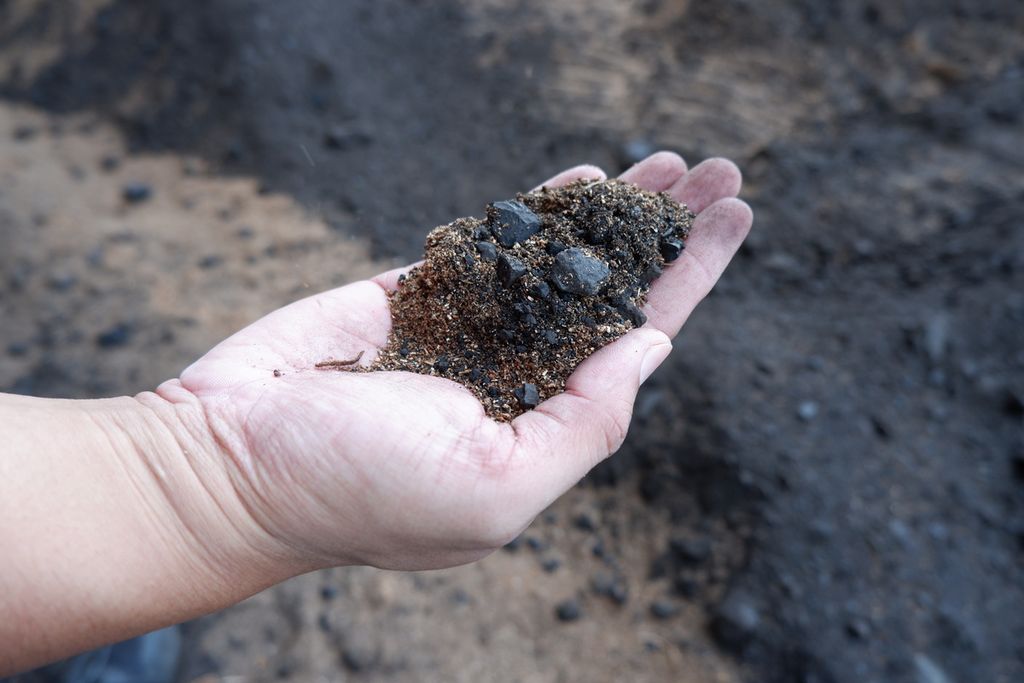 Campuran batubara dengan serbuk kayu ditunjukkan di area <i>coal yard </i>Pembangkit Listrik Tenaga Uap (PLTU) Jeranjang di Desa Taman Ayu, Kecamatan Gerung, Kabupaten Lombok Barat, Nusa Tenggara Barat, Senin (11/10/2021). Sejak akhir 2020, PLN UIW NTB mulai mendorong penggunaan biomassa seperti sampah dan serbuk kayu sebagai substitusi batubara di PLTU Jeranjang.