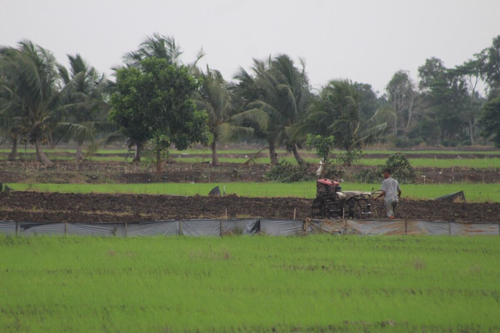 Petani menggarap lahan sawah di Kecamatan Muara Sugihan, Kabupaten Banyuasin, Sumatera Selatan, Selasa (7/12/2021). Sebagai provinsi penghasil beras, Sumsel masih dilanda data lahan baku sawah yang timpang.