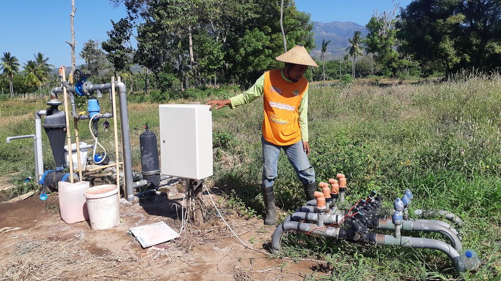 Petugas memeriksa rangkaian irigasi tetes berbasis digital di Maumere, Kabupaten Sikka, Nusa Tenggara Timur, Selasa (21/6/2022). Pengairan dengan sistem itu lebih efektif dan efisien. Cocok untuk daerah yang minim sumber air.