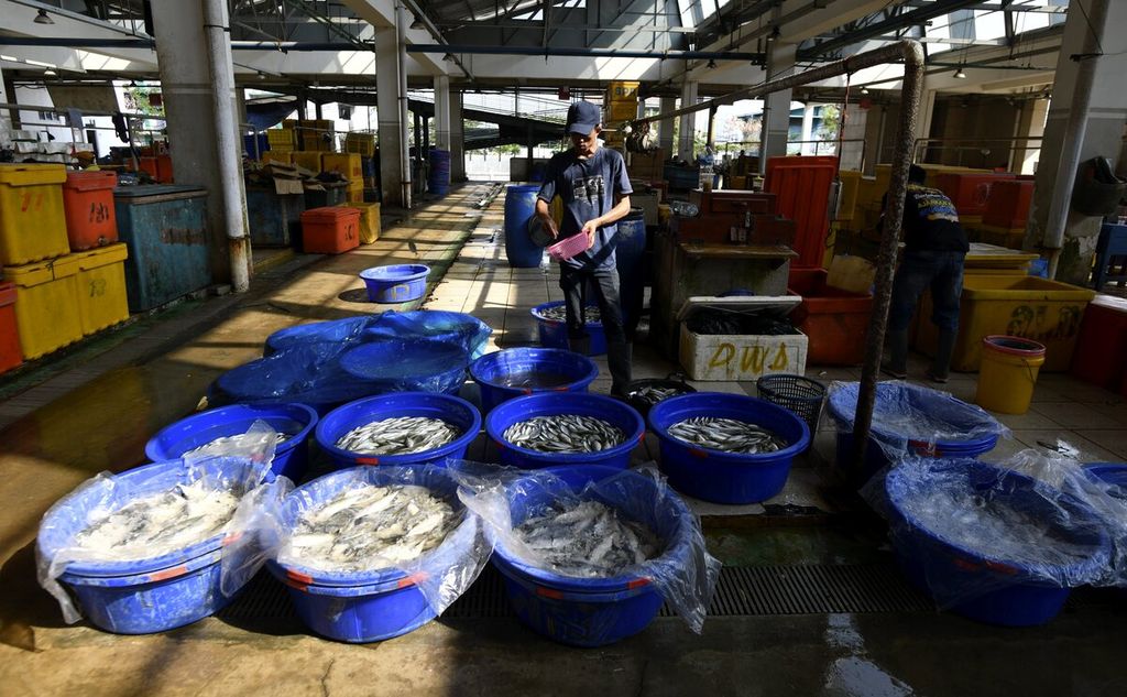 Pekerja mengisi sejumlah ember besar dengan ikan di salah satu lapak di Pasar Ikan Modern Muara Baru, Jakarta Utara, Kamis (26/8/2021). 