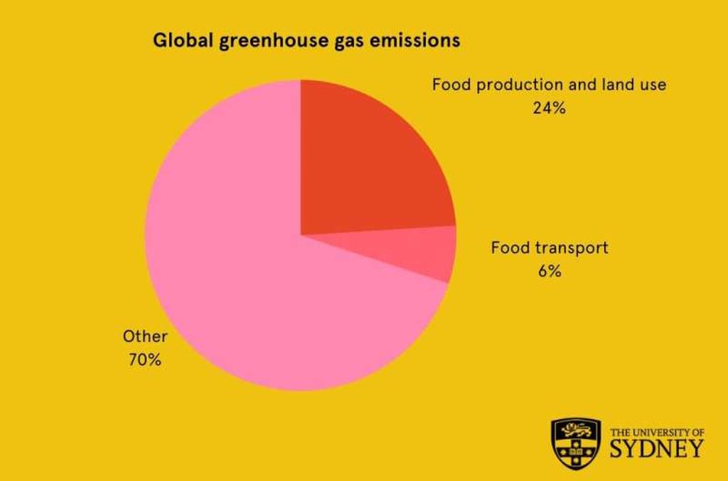 Sumbangan emisi dari transportasi makanan dalam konteks emisi keseluruhan. Sumber: Universitas Sydney