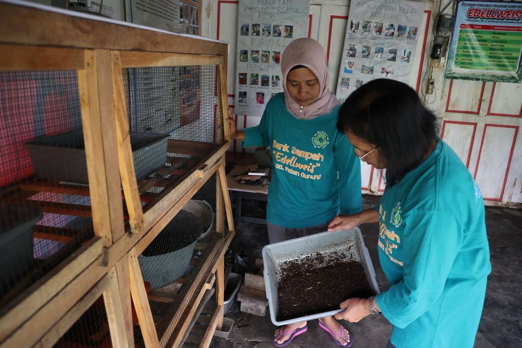 Pegiat Bank Sampah Edellweis mengelola maggot untuk pengurai samppah di kampung organik Edellweis di Kelurahan Rejowinangun Selatan, Magelang Selatan, Kota Magelang, Jawa Tengah, Rabu (12/10/2022). 