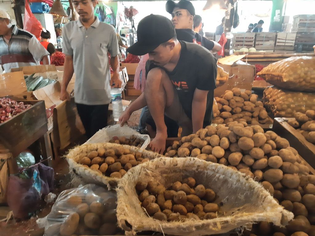 Pedagang kentang memilah produknya di Pasar Induk Kramat Jati, Jakarta Timur, Senin (13/3/2023).
