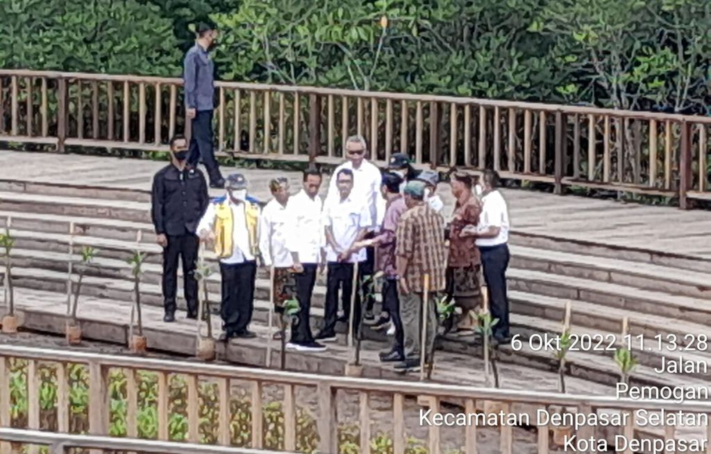 Dokumentasi UPTD Tahura Ngurah Rai, Kamis (6/10/2022), bersama Presiden Joko Widodo beserta rombongan ketika meninjau kawasan mangrove di Tahura Ngurah Rai, Kota Denpasar. 