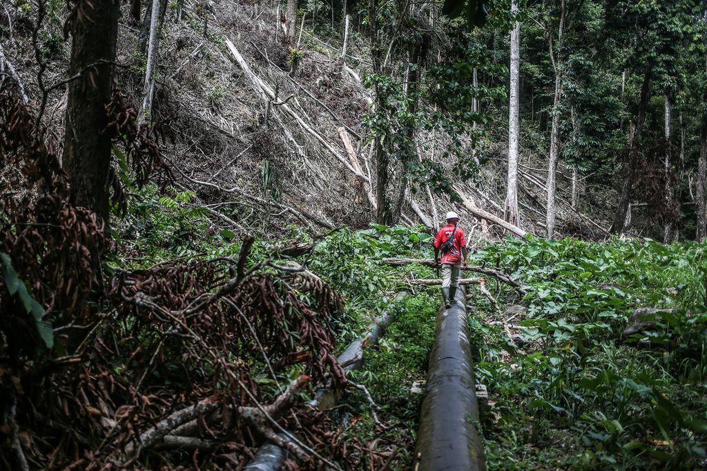 Petugas PDAM Kota Jayapura mengecek pipa di dekat salah satu titik perambahan hutan di cagar alam Pegunungan Cycloop, Distrik Heram, Kota Jayapura, Papua, Jumat (26/11/2021). Maraknya perambahan hutan mengancam sumber mata air utama di kawasan itu.