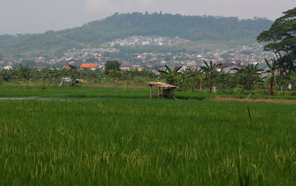 Lahan pertanian dengan latar belakang area bukit yang telah dipadati perumahan di Kecamatan Tembalang, Kota Semarang, Jawa Tengah, Selasa (17/1/2023). 